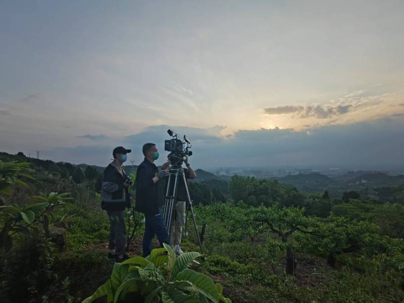 创意破圈！信宜市电商产品宣传视频用故事化叙事引爆流量